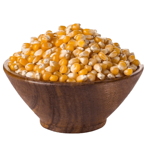 ذرت نوریز توپی 